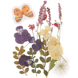 Pressed dried flowers