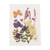 Pressed dried flowers