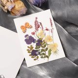 Pressed dried flowers