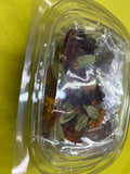 Dried pressed flowers [SA made] (10 packets)